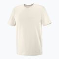 Men's T-shirt Salomon Logo Tee rainy day 4