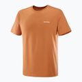 Men's T-shirt Salomon Logo Tee sierra 4