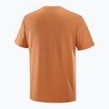 Men's T-shirt Salomon Logo Tee sierra 5