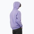 Men's sweatshirt Salomon Logo Hoodie violet tulip 2