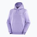 Men's sweatshirt Salomon Logo Hoodie violet tulip 3