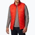 Columbia Powder Pass men's hiking sleeveless red 1842414839 6