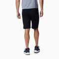 Columbia Triple Canyon II men's trekking shorts black 2030801010 2