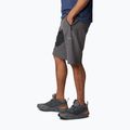 Columbia Triple Canyon II men's trekking shorts grey 2030801 3