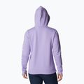 Columbia Trek Graphic Hooded Purple Women's Trekking Sweatshirt 1959881 2