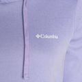 Columbia Trek Graphic Hooded Purple Women's Trekking Sweatshirt 1959881 6