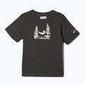 Columbia Valley Creek Graphic men's trekking shirt grey 1989781012