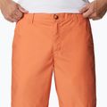 Columbia Washed Out men's trekking shorts orange 1491953849 4