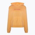 Women's Columbia Logo III French Terry trekking sweatshirt orange 2032871812 5