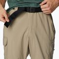 Columbia Silver Ridge Utility Convertible men's trekking trousers brown 2012962221 5