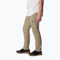 Columbia Silver Ridge Utility men's trekking trousers brown 2012952221 3