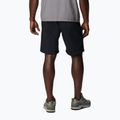 Men's trekking shorts Columbia Silver Ridge Utility black 2