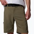 Men's trekking shorts Columbia Silver Ridge Utility stone green 5