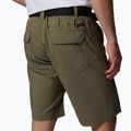 Men's trekking shorts Columbia Silver Ridge Utility stone green 6
