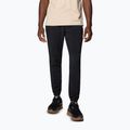 Men's trekking trousers Columbia Hike Jogger II black