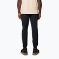 Men's trekking trousers Columbia Hike Jogger II black 2