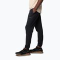 Men's trekking trousers Columbia Hike Jogger II black 3