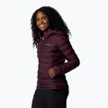 Columbia women's Lake 22 II Down Hooded moonvista down jacket 4