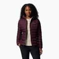 Columbia women's Lake 22 II Down Hooded moonvista down jacket 6