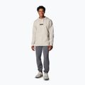 Men's sweatshirt Columbia Trek Hoodie dark stone/puff box gem 2