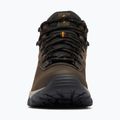 Columbia Newton Ridge Plus II Wp corodovan/squash men's trekking boots 11