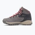 Women's trekking boots Columbia Newton Ridge Plus Wp Amped stratus/canyon rose 11
