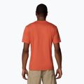 Men's T-shirt Columbia Rapid Ridge Graphic tuscan/heavenly 2