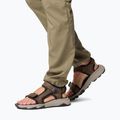 Men's sandals Columbia Peakfreak Rush cordovan pebble 8