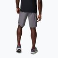 Men's trekking shorts Columbia Triple Canyon II city grey 3