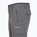 Men's trekking trousers Columbia Tech Trail Utility Winter city grey 13