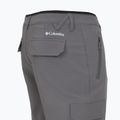 Men's trekking trousers Columbia Tech Trail Utility Winter city grey 14