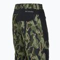 Men's snowboard trousers Columbia Coreshot Printed greenscape treebark print/black 14