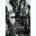 Men's jacket Napapijri Rainforest Next AOP aop det tr f9o 6