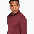 Men's thermal sweatshirt icebreaker 260 Tech LS Half Zip port 5