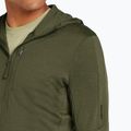 Men's sweatshirt icebreaker Merino 260 Quantum IV Zip Hoodie loden 6