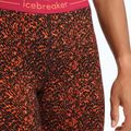 Women's thermal pants icebreaker 200 Oasis Lichen 001 maroon IB0A56I25951 4