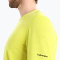 Men's thermal top icebreaker 200 Oasis Crewe Alps 3D shine 5