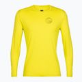 Men's thermal top icebreaker 200 Oasis Crewe Alps 3D shine 6