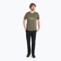 Men's Icebreaker Tech Lite II trekking shirt green IB0A56IK0691 2