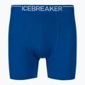 Icebreaker men's boxer shorts Anatomica 001 blue IB1030295801