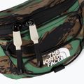 The North Face Jester Lumbar coloured kidney NF0A52TMI3A1 4