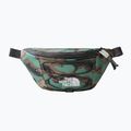 The North Face Jester Lumbar coloured kidney NF0A52TMI3A1 7