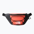 The North Face Jester Lumbar kidney bag orange NF0A52TMZV11 7