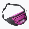 The North Face Jester Lumbar purple kidney bag NF0A52TMYV41 6