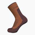 Icebreaker men's trekking socks Merino Hike+ Light Crew dusty clay/carob 2