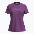 Icebreaker women's trekking t-shirt Merino 150 Tech Lite SS Tee Sparkling Stars passion