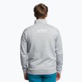 Men's fleece sweatshirt The North Face MA 1/4 Zip light grey NF0A5IESGAU1 4