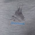 Men's Smartwool Wilderness Summit Graphic Tee trekking shirt light grey SW016673545 6
