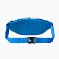 The North Face Lumbnical S kidney bag blue NF0A3S7ZTV71 8