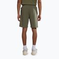 Men's Napapijri Nalis Sum green lichen shorts 3